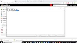 Live Example in Parameterizing Job with Multiple Browser Options Instructional Video