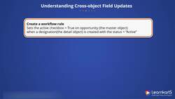 Salesforce Platform App Builder Certification Training - Understanding Cross-object Field Updates Instructional Video