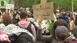CLEAN : Thousands rally in Paris in support of Palestinians News Clip