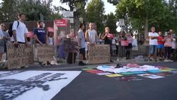 CLEAN : Protest in Cyprus to improve welfare standards on World Animal Day News Clip