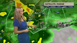 STORM WATCH: Heavy rain and gusty winds Thursday evening for The Bronx News Clip