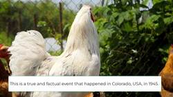 How to Write a Hook: 10 Ideas for Narrative, Expository, Persuasive/Argumentative Writing Instructional Video