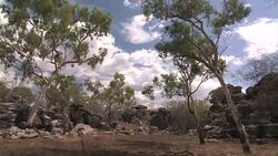 Landscape in the Kimberley Plateau, Western Australia Stock Footage