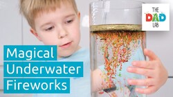 Science Experiment: Oil and Water Instructional Video