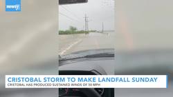 Tropical Storm Cristobal To Make Landfall Along Gulf Coast Sunday News Clip