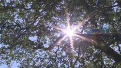 CLEAN : Eyewitnesses to Geneva Reagan-Gorbachev summit in 1985 tell the story News Clip