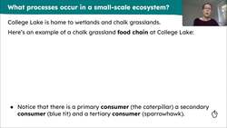 Understanding small-scale ecosystems Instructional Video