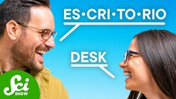 What’s The Fastest Language? Instructional Video