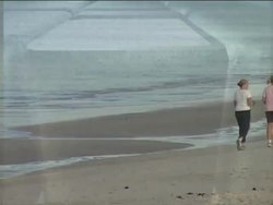 Understanding Common Cell Parts Instructional Video