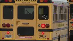 Bus convoy paraded in Georgia to deter traffickers Instructional Video