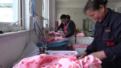 CLEAN : Sex sells: China farm region becomes 'lingerie capital' News Clip