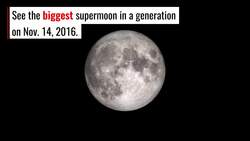 Showstopper Nov. 14 Supermoon Is the Closest Moon to Earth Since 1948 Instructional Video