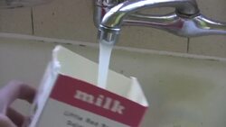 How to Grow Oyster Mushrooms Indoors Instructional Video