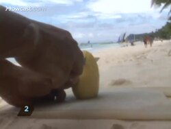 How to Cut a Mango Instructional Video