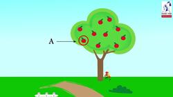 Similarity and Projections: Projection Instructional Video