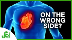 Is That a Cold or Are Your Organs Flipped? Instructional Video