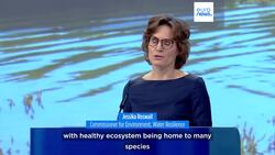 Commission seeks dialogue on Europe’s deepening water crisis News Clip