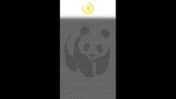 Can You See A Hidden Animal? Instructional Video