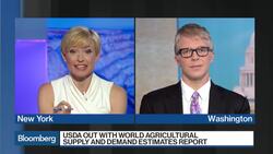 Inside the WASDE Report That Drove Corn Prices Higher News Clip