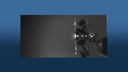 Researchers explore sea turtle locomotion! NSF Science Now 14 Instructional Video