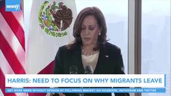 Vice President Harris Meets With Mexican President On Immigration News Clip