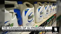 Lawyer Who Beat Monsanto Credits Jury for Doing 'Right Thing' News Clip