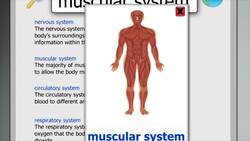 The Human Body Instructional Video