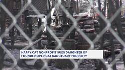 Nonprofit that operated Happy Cat Sanctuary sues founder's daughter for control of Medford property News Clip