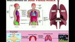 Mechanism of the Solar Plexus Attack | Getting the Wind Knocked Out of You Instructional Video