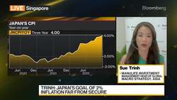 Manulife's Trinh on Markets and Strategy News Clip