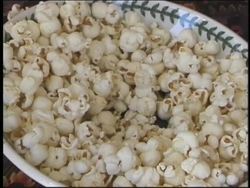 Introduction to Cell Processes Instructional Video