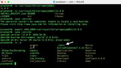 Spark Programming in Python for Beginners with Apache Spark 3 - Mac Users - Apache Spark in Local Mode Command Line REPL Instructional Video