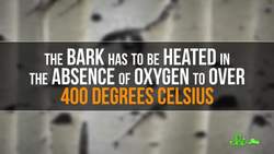 Neanderthals Smarter Than You Think Instructional Video