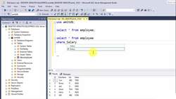 SQL Server Course for Beginners with 100+ examples - NOT NULL Constraint Instructional Video
