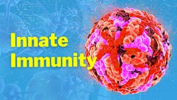 The Cells of Innate Immunity (and Mechanism) Instructional Video