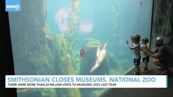 Smithsonian Museum Remains Closed Due To COVID-19 Impact News Clip