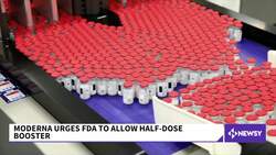 Moderna Urges FDA To Approve Half-Dose COVID Booster Shot News Clip