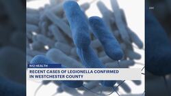 HEALTH ALERT: 37 Legionnaires' cases reported in Westchester News Clip