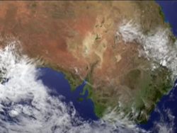 Exploring Early Multicellular Life Instructional Video