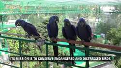Most Bird Species in an Aviary Instructional Video