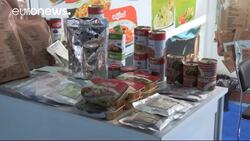 Humanitarian Summit spotlight on the economics of aid News Clip