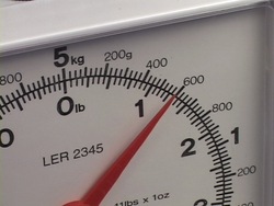 Mediciones: mediciones de masa Instructional Video