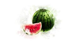 Watermelon Animation Stock Footage