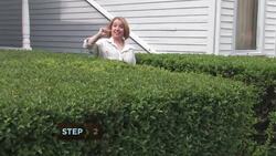 How to Negotiate Your Rent Instructional Video