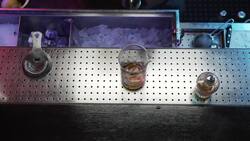 Short - Martinez Instructional Video