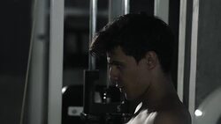 Bodybuilder workout Stock Footage