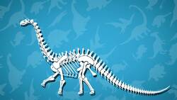 I WONDER - Who Discovered The Stegosaurus? Instructional Video