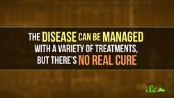 What the CRISPR Embryo Editing Study Really Taught Us Instructional Video