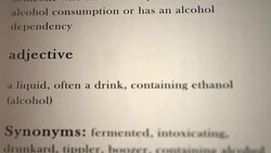 Alcoholic Definition Stock Footage