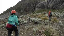 ONLY ON AP Venezuela scientists record end of glacier Instructional Video